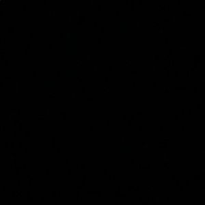 Meet your Posher, Abigail